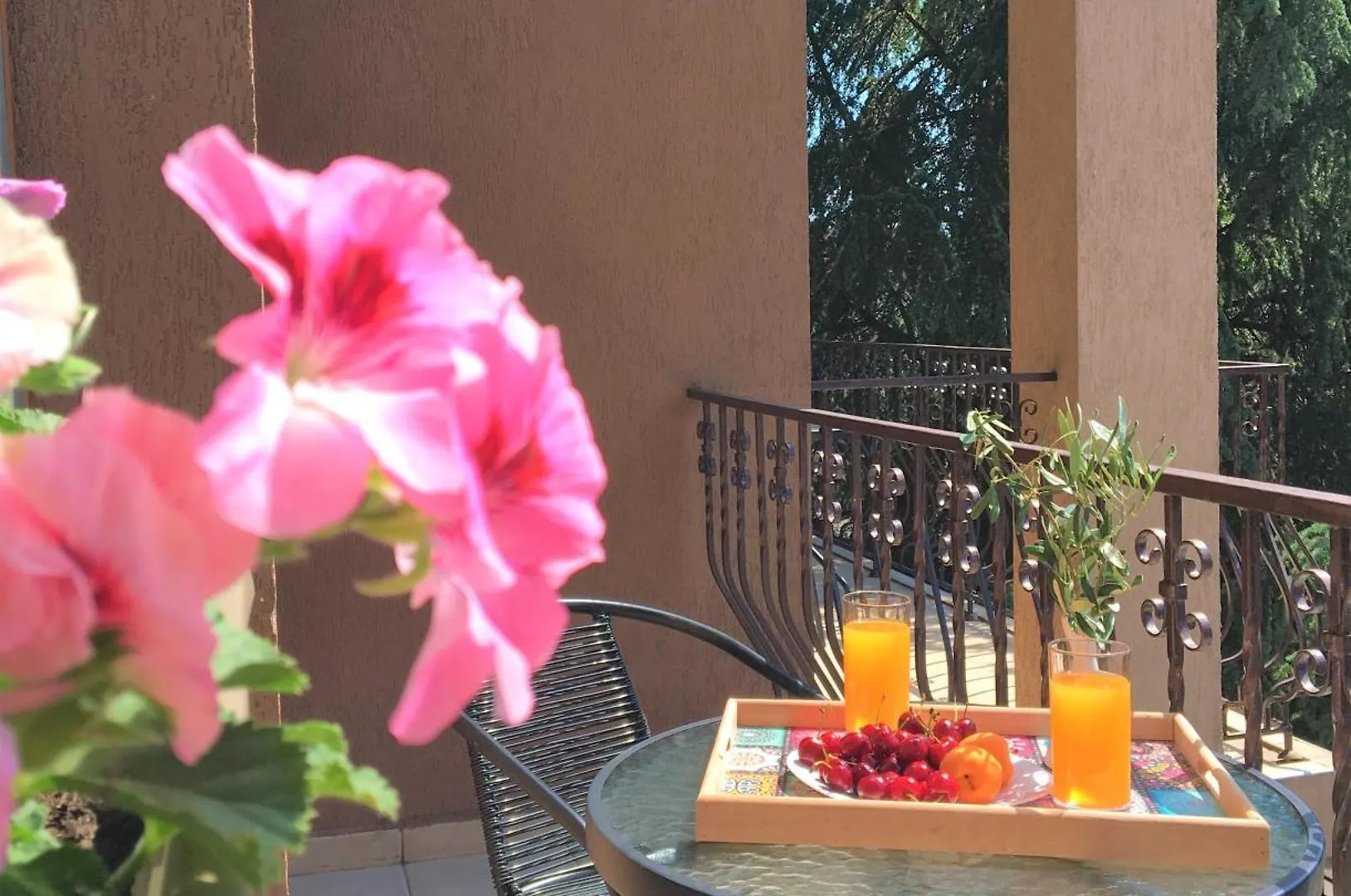 Guest house Стаи За Гости Димитрови Burgas